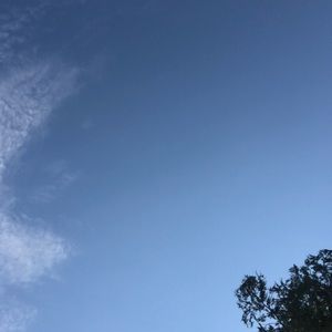 Meet your Posher, Rhea